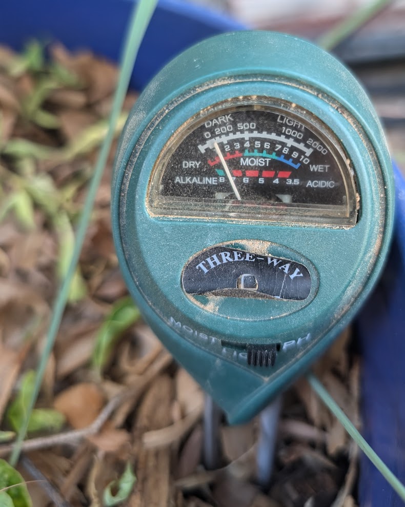 Preparing garden beds with amendments for warm-season crops