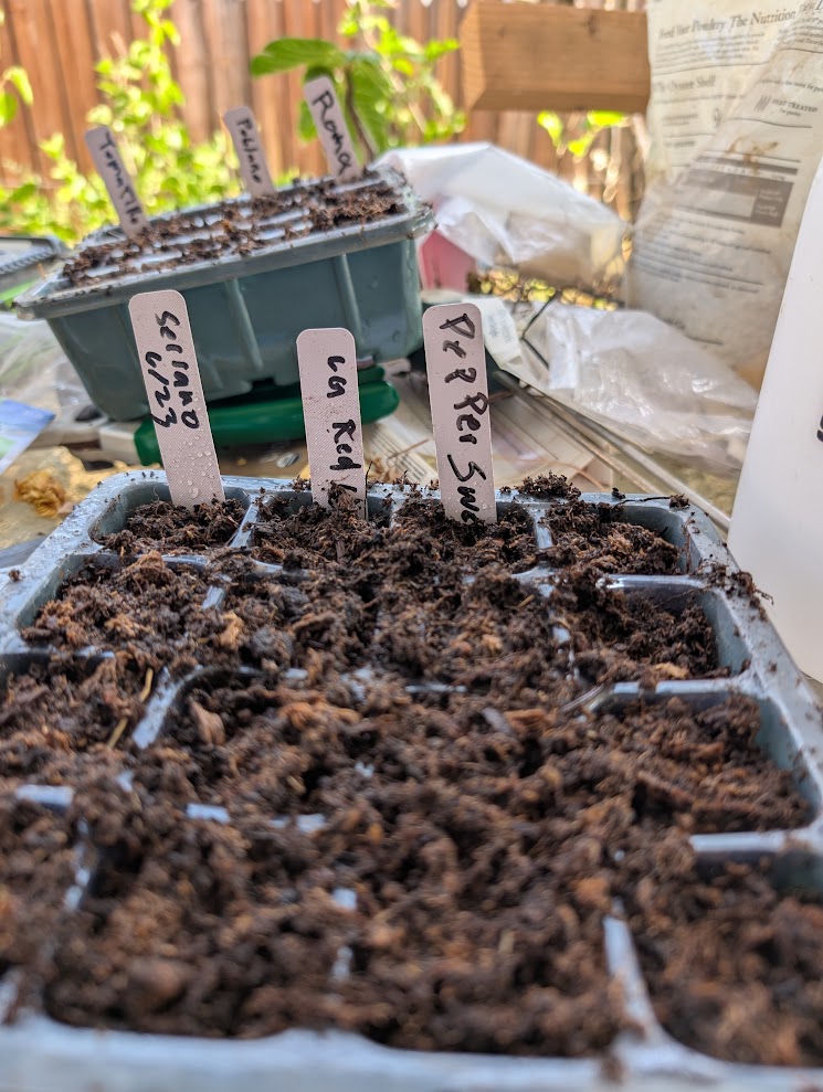Labeled seedling trays in a bright window