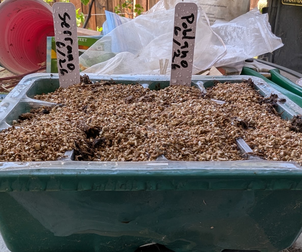 Seed starting trays with a top layer of vermiculite